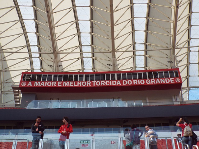 法国女足国 法国女足国