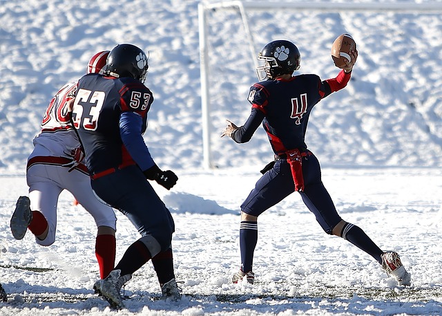 他们正计划 他们正计划