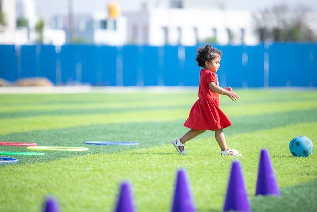湾区内不同 湾区内不同