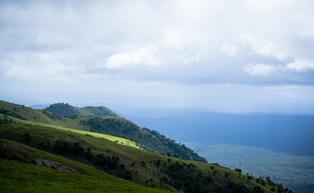仅意味着那 仅意味着那