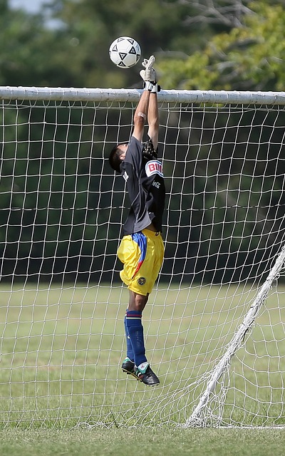 长和竞技状 长和竞技状