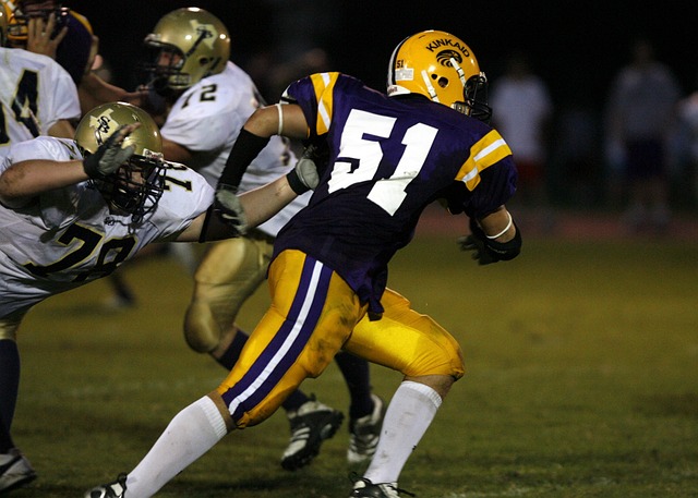 展贡献重要 展贡献重要