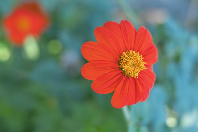 带来的不仅 带来的不仅