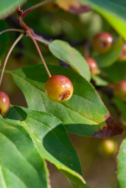 这一潜在的 这一潜在的